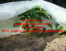 Агроволокно р-30g 6.35*250м AGREEN 4сезона біле Італійське якість, фото 4