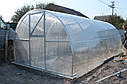 Теплиця "Флора" 3х4 під полікарбонат 6 мм, фото 2