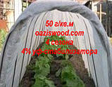 Агроволокно р-50g 1,6*100м AGREEN 4сезона біле Італійське якість, фото 9