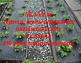 Агроволокно p-50g 1.2*100м чорне AGREEN 4сезона Італійське якість, фото 6