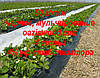 Агроволокно p-50g 0.8*100м чорне AGREEN 4сезона Італійське якість, фото 7