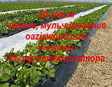 Агроволокно p-50g 1.07*50 м чорне AGREEN 4сезона Італійська якість, фото 9