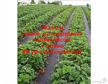 Агроволокно p-50g 3.2*25 м чорне AGREEN 4сезона Італійська якість, фото 2