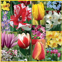 Декупажних серветка "Весна-1", 33 * 33 см, 18 г / м2, Maki, SLWI003801, 003801