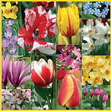 Декупажні серветки