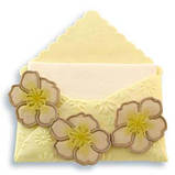 Виїмка пластикова прозора - Конверт, фото 2