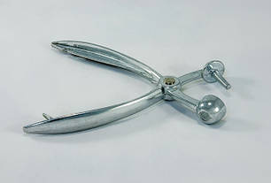 Вишнечистки