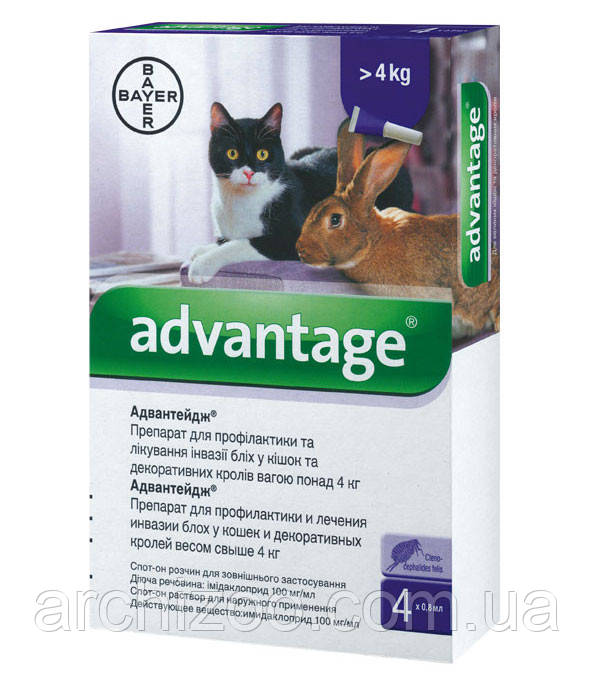 Advantage 4-8 кг для кошек и декоративных кроликов 1 пипетка - фото 1 - id-p506427325