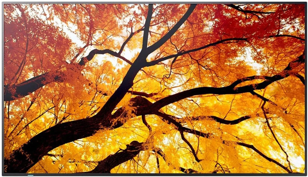 Монитор Sharp MultiSync M432 43 дюйма профессиональный 4K 3840x2160, фото 1