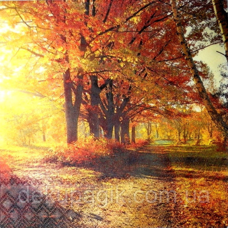 Серветка для декупажу ГР-71 (33х33см), фото 1