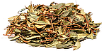 Зимолюбка зотична трава 50 грамів/(Herba Chimaphila umbellata)