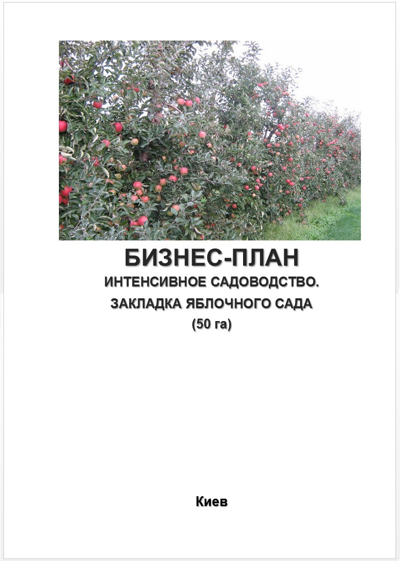 Бізнес – план (ТЕО). Яблуневий сад. Виробництво яблук. Збір. Зберігання. Яблуневий бізнес. Інтенсивне садівництво переробка