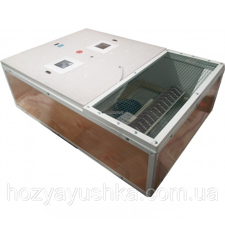 Брудер (ясли) для курчат "Курочка Ряба"., фото 1