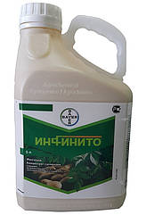 Фунгіцид Інфініто, 687,5 к.с. (5 л) BayerCropScience AG