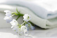 Ополіскувачі для білизни