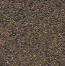 Фацелія 1 кг, фото 1