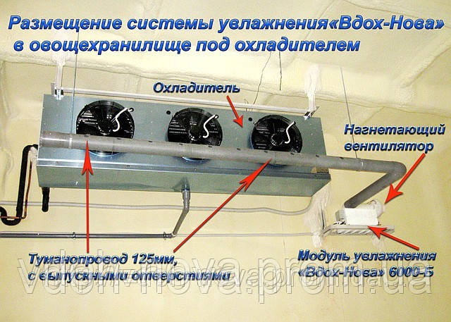 Увлажнитель холодильных камер хранения Вдох-Нова 3000 ХК - фото 3 - id-p33956335