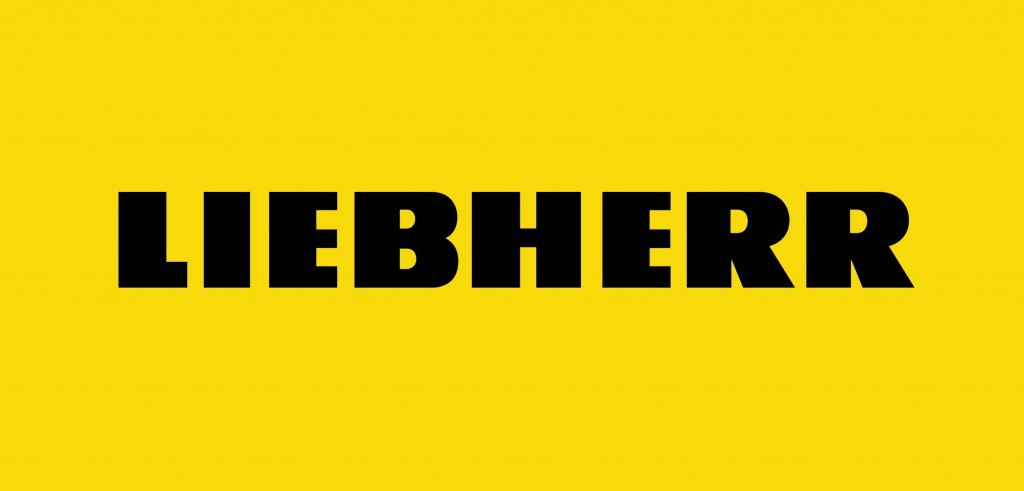 Запчастини на двигун Liebherr 924, 926, все для ремонту, комплект запчастин Liebherr