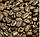 Кава Ефіопія Сідамо в зернах, свіжого обсмаження, 250 г, арабіка, під фільтр, свіжообсмажена, натуральна, фото 3