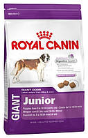 Royal Canin Giant Junior 17 кг для щенков гигантских пород старше 8 месяцев