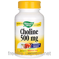 Холин битартрат, витамин в4, Nature's Way, 500 мг, 100 таблеток