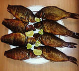 Коптильня з гідрозатворів для гарячого копчення (520х310х280), фото 5