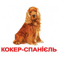 Картки Домана. Українська мова. Вундеркінд із пелюшок. Породи собак