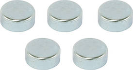 Заглушка супорта Knorr-Bremse SN series (40x11mm) 3F Brakes