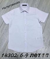 Праздничная белая рубашка короткий рукав для мальчиков 6-9 лет, детские однотонные шведки на пуговицах для школы