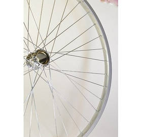 Велоколесо. 20 " заднее. Велоколеса. Вело колесо. Колесо велосипеда.