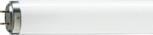 Лампа Philips TL 120W/01 G13