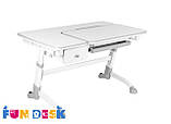 Дитячий стіл-трансформер FunDesk Amare with drawer Grey, фото 2
