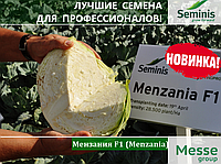 Семена капусты Мензания F1 \ Menzania F1 2500 семян Seminis