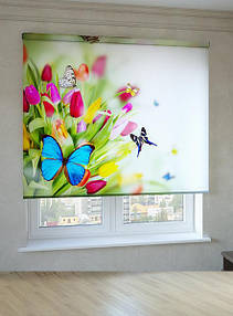 Рулонні штори з фотодруком