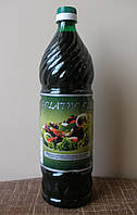 Олія гарбузова (салатне) Salatno Olje, 1 л