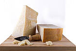 Сир Parmigiano Reggiano Dop 24 місяців 250 г Італія, фото 3