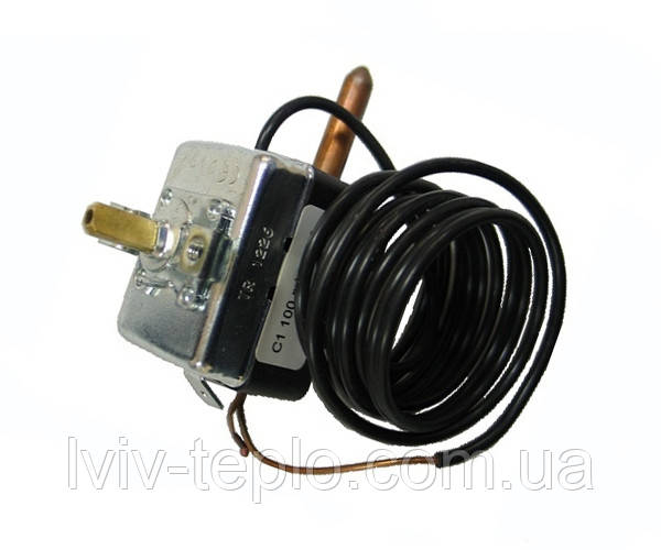 0020025281 Термостат Protherm, фото 1