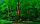 Пігмент органічний світлостійкість зелена Пігмент для мила манікюру декору смоли 1 кг, фото 2