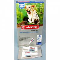 Краплі від бліх і кліщів для собак Адвантикс понад 25 кг. 1 ПІПЕТКА