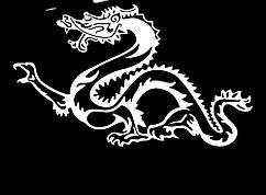 Вінілова наклейка — Дракон (14) (від 15х25 см)