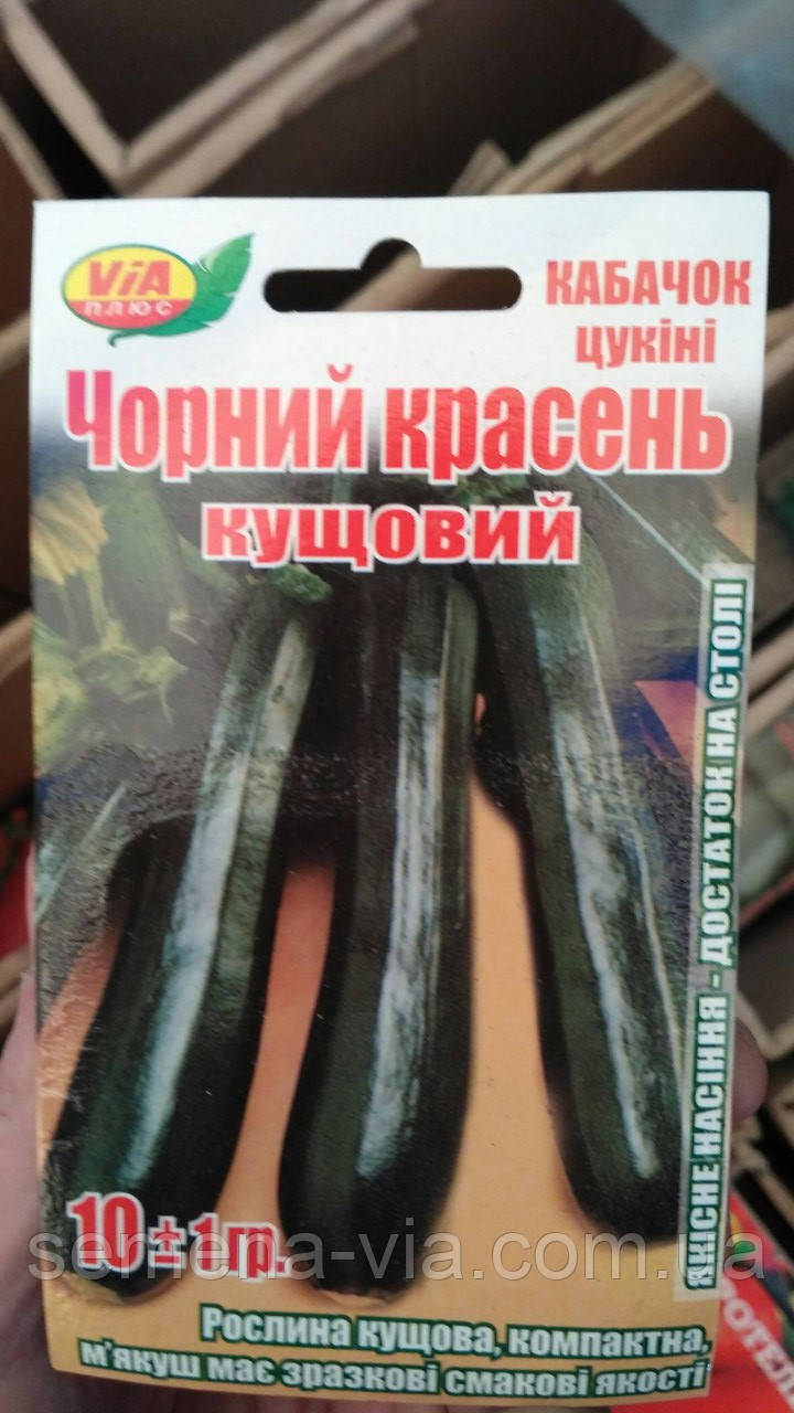 Насіння кабачка Чорний красень (10 грамів) ТМ VIA плюс