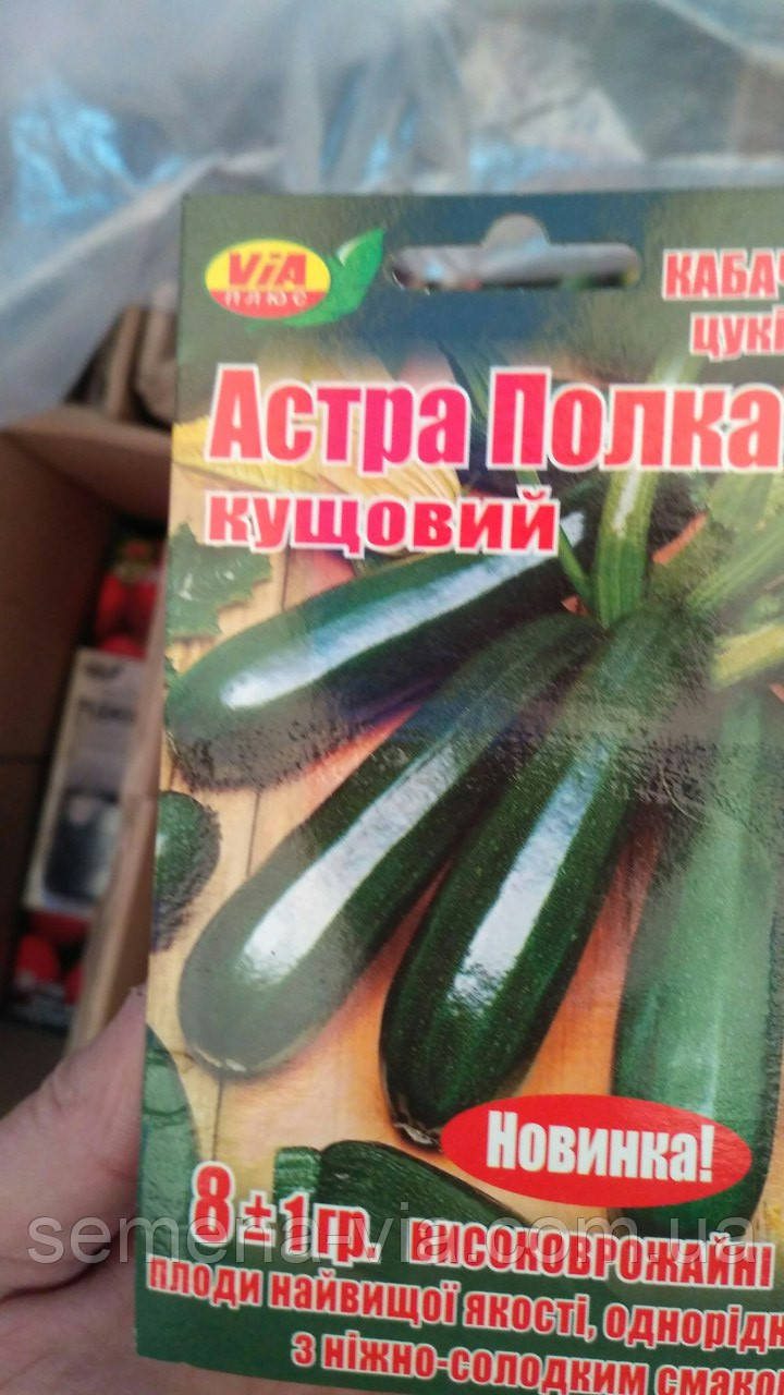 Насіння кабачка Астра Полька (10 грамів) ТМ VIA плюс