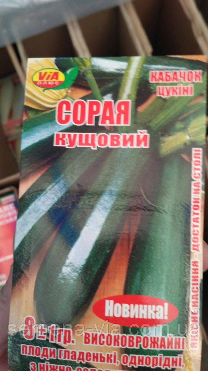 Насіння кабачка Сіре (10 грамів) ТМ VIA плюс