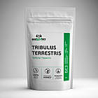 Tribulus Terrestris (90% saponins) Трибулус 100 г, фото 4