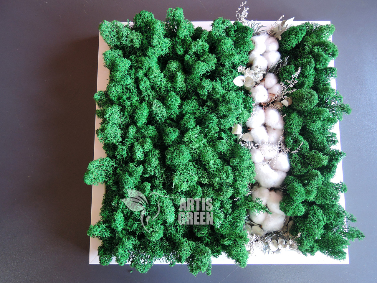 Нова еко-картина "Бавовна" з моху "Artis Green", P5