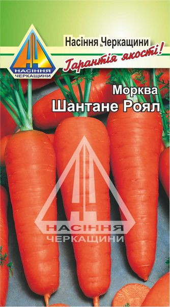 Морква Шантане Роял (10 г)