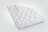 Ковдра літня 175х210см синт. Лебединий пух Super Soft Classic тм Ідея, фото 4