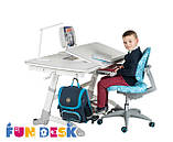 Дитячий стіл-трансформер FunDesk Amare Grey, фото 4