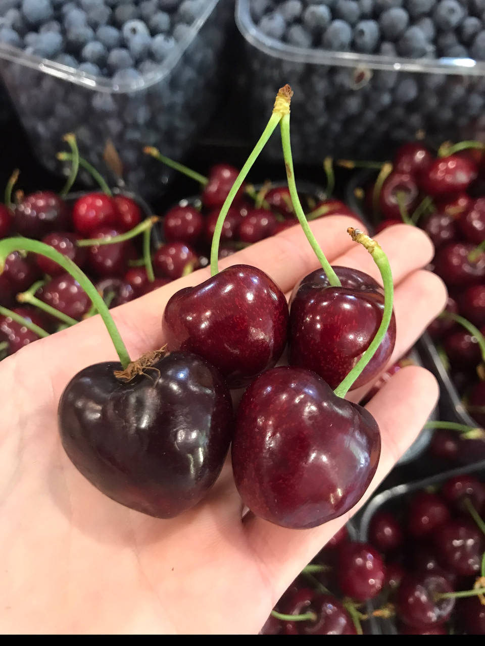 

Черешня красная крупная