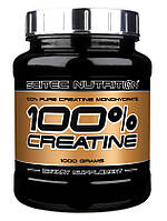 Scitec Nutrition 100% Pure Creatine Monohydrate 1000 g